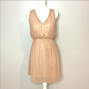 Anthropology “Everly” polka dot dress